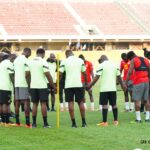Video: Black Stars fans express optimism ahead of World Cup qualifiers 